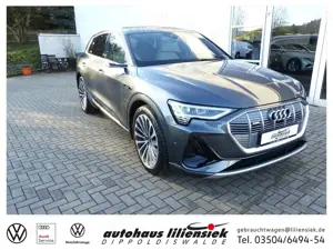 Audi e-tron 55 quattro 300KW S line *AHK*LED*PDC*