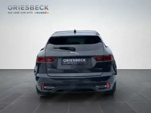 Jaguar E-Pace P300e ACC+LED+Navi+Pano Bild 4