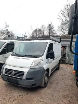 Fiat Ducato Ducato L1H1 verglast Bild 5