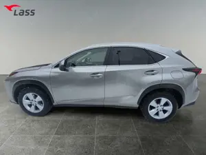 Lexus NX 300 h 2.5 Hybrid Executive Line Kamera Leder LM Bild 3