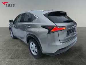 Lexus NX 300 h 2.5 Hybrid Executive Line Kamera Leder LM Bild 4