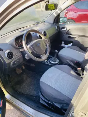 Ford Fusion Plus Bild 5