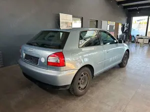 Audi A3 Attraction 1,6Ltr.*8-fach bereift*Xenon*Klima Bild 3