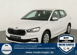 Skoda Fabia 1.0 TSI Selection, Tempomat, Park, Winterpaket, Sm