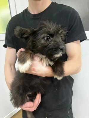 Charlotte freut sich auf deinen besuch