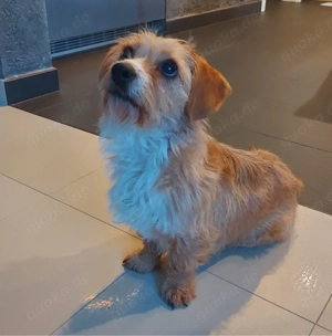 Livvy freut sich über deinen besuch