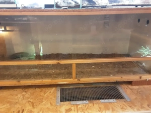 Verkaufe Terrarien  Bild 2