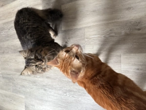 Ein Junge ein Mädchen 