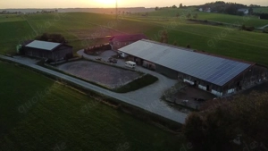 Reiterferien Reitferien Reitercamp Reiterfreizeit für Mädels ab 8J. Bayern Allgäu Bild 5
