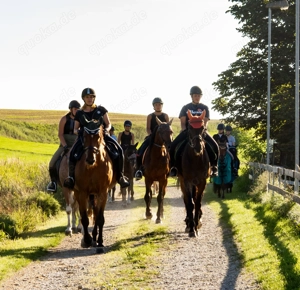 Reiterferien Reitferien Reitercamp Reiterfreizeit für Mädels ab 8J. Bayern Allgäu