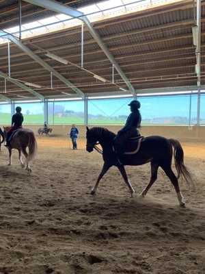 Reiterferien Reitferien Reitercamp Reiterfreizeit für Mädels ab 8J. Bayern Allgäu Bild 4