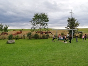 Reiterferien Reitferien Reitercamp Reiterfreizeit für Mädels ab 8J. Bayern Allgäu Bild 8