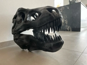 XXL Dinosaurier Schädel Skull 