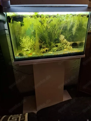 Aquarium 60 Liter 