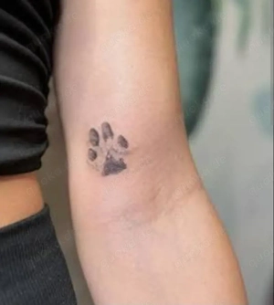 Doggy dog sextreffen welche sie hat lust :) 