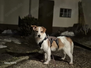 Bilbo benötigt Sicherheit