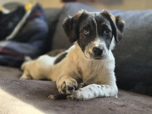 Marshy - unsere Abenteuerin