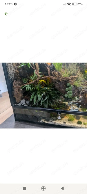 Paludarium 90x45x90 mit Wasserfall & Beregnungsanlage