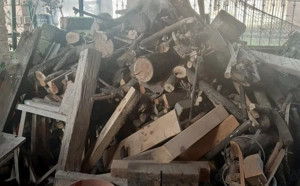 Versch. Holz, trocken und zum Heizen bestimmt - ca. 2 Ster Bild 2