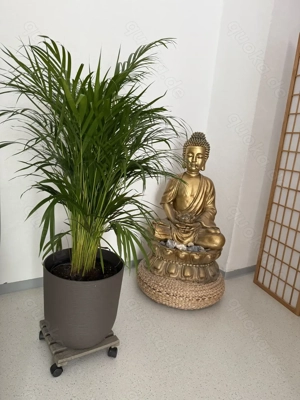 Zentral und ruhig - Bewegungsraum in der Südstadt Bild 3