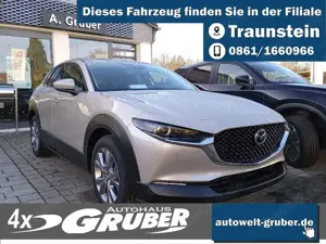 Mazda CX-30 e-SKYACTIV G Automatik Exclusive