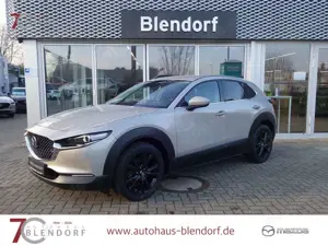 Mazda CX-30 Selection 122 Automatik 360°|Leder|Matrix-LED
