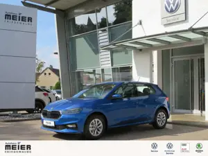 Skoda Fabia 1.0TSI 130 Jahre Kamera LED SmartLink 5J
