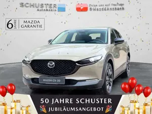 Mazda CX-30 Nagisa SKYACTIV-X 186PS LEDER KAM LED
