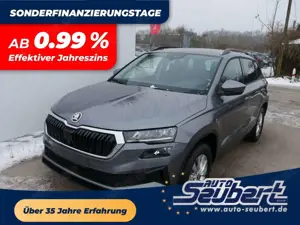 Skoda Karoq Selection 2.0 TDI DSG 4x4*AHK*PDC-HI*LED*SHZ*SMART