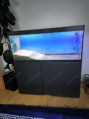 Aquarium mit Außenfilter 