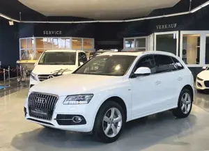 Audi Q5 2.0TFSI Quattro AHK Standh. 3*S-Line+Glasdach