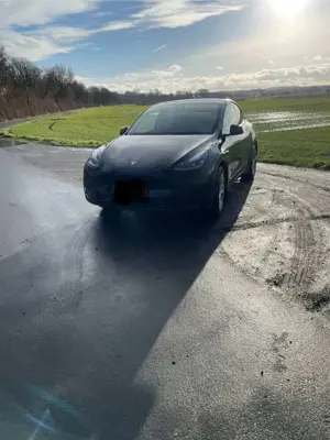 Tesla Model Y RWD