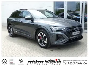 Audi Q8 55 e-tron quattro 300KW S line *LED*ACC*PDC*