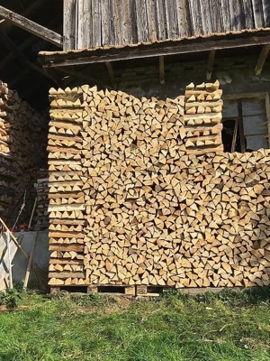 Brennholz Esche Bild 4