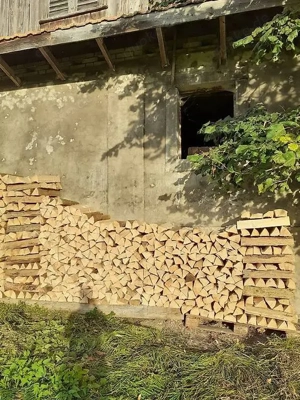 Brennholz Esche Bild 3