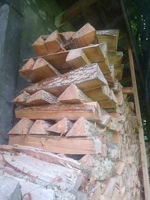 Brennholz Esche Bild 2