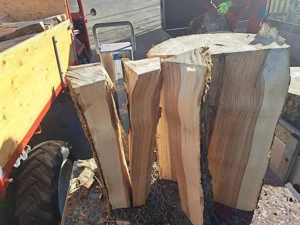 Brennholz Esche