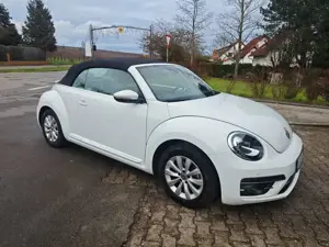Volkswagen Beetle Design BMT,HU/AU KD Neu