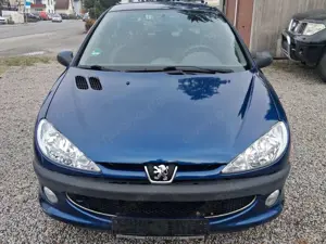 Peugeot 206 Grand Filou Cool
