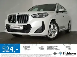 BMW X1 xDrive23d M Sportpaket HK HiFi.ACC.PARKASSIS