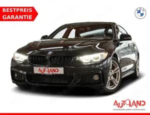 BMW 420 420i Gran Coupe M Sport LED Head-Up Navi Memory
