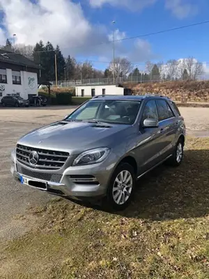 Mercedes-Benz ML 250 ML 250 BlueTEC 4MATIC 7G-TRONIC