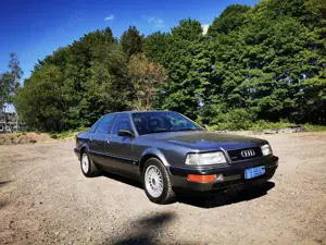 Audi V8