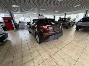 Toyota C-HR Hybrid Team D / 1.8 Bild 5