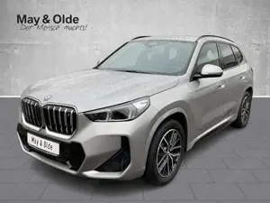 BMW iX1 xDrive30 M Sport HUD Navi Leder H/K 360 Kamera LED