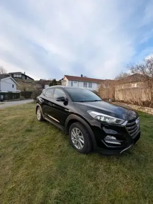 Hyundai TUCSON Tucson blue 1.7 CRDi 2WD Trend Bild 2