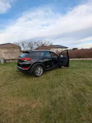 Hyundai TUCSON Tucson blue 1.7 CRDi 2WD Trend Bild 4
