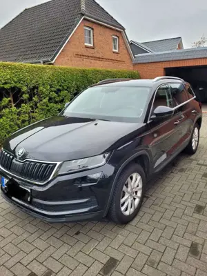 Skoda Kodiaq Kodiaq Diesel 2.0 TDI DSG Ambition
