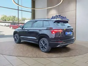 Skoda Karoq Bild 3