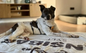 Gutmütiger Goethe sucht seine Menschen